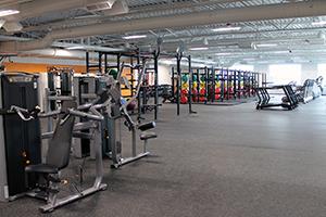 Rows of fitness equipment