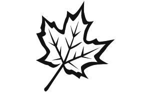 leaf